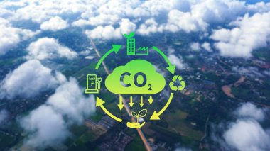 CO2, küresel ısınmayı iklim değişikliğinden sınırlamak için karbon ayak izi ve karbon kredisini azaltmak amacıyla dairesel ikona sahip ikonu küçültüyor, Biyo Dairesel Yeşil Ekonomi kavramı.