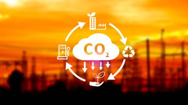 CO2, küresel ısınmayı iklim değişikliğinden sınırlamak için karbon ayak izi ve karbon kredisini azaltmak amacıyla dairesel ikona sahip ikonu küçültüyor, Biyo Dairesel Yeşil Ekonomi kavramı.