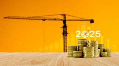 2025 ve sikkeler hedef planı eylem, iş planı ve stratejileri, Golas 'a ulaşmak için yıllık plan ve geliştirme, hedef başarı ve 2025 yılında meydan okuma