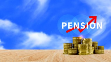 Emeklilik konsepti, Tasarruf ve Emeklilik Fonu, Emeklilik Fonu, Gelecek Yatırım, Emeklilik Katkılarının Biriktirilmesi. Kredi portföyü büyümesi.