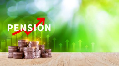 Emeklilik konsepti, Tasarruf ve Emeklilik Fonu, Emeklilik Fonu, Gelecek Yatırım, Emeklilik Katkılarının Biriktirilmesi. Kredi portföyü büyümesi.