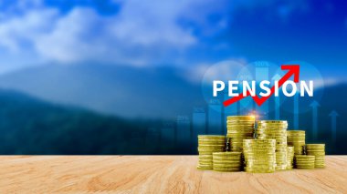 Emeklilik konsepti, Tasarruf ve Emeklilik Fonu, Emeklilik Fonu, Gelecek Yatırım, Emeklilik Katkılarının Biriktirilmesi. Kredi portföyü büyümesi.