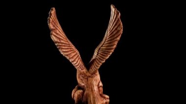 Siyah arka planda bir Kartal ve Yılan figürü. Bir kartal bir yılanı boğar. Güç ve hayatta kalma kavramı.