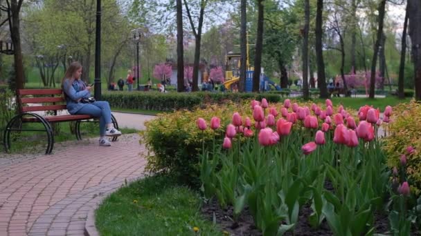 오볼론 키예프의 공원에서 아름다운 — 비디오