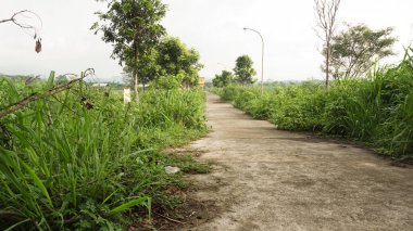 Parktaki patika ve patika