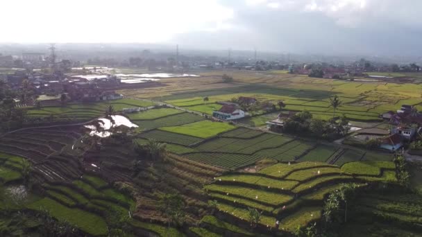 Drone Video Piękne Widoki Pól Ryżowych Wiosek Azji Śródlądowej — Wideo stockowe