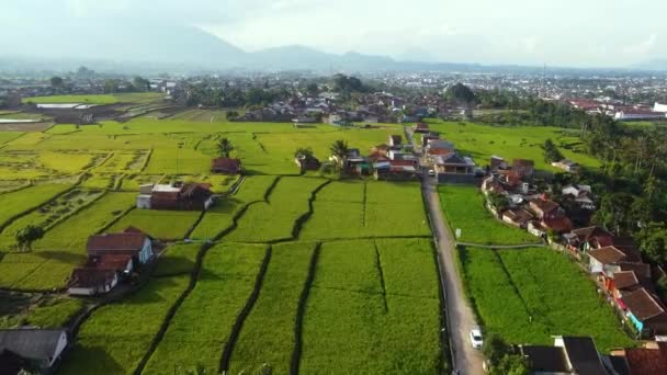 Drohnenvideo Schöne Ansichten Von Reisfeldern Und Dörfern Asiatischen Landesinneren — Stockvideo