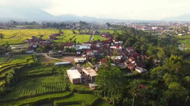 Dron Video Krásné Pohledy Rýžová Pole Vesnice Vnitrozemské Asii — Stock video
