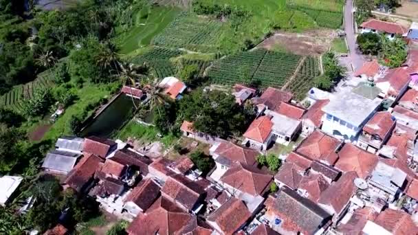 Natuurlijke Wetenschappelijk Mooie Aziatische Bergweiden Woonwijken Drone — Stockvideo