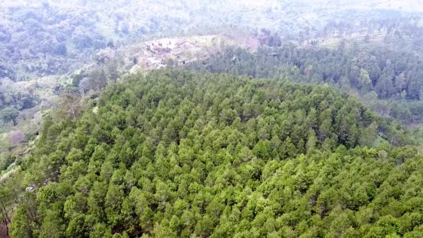 Natuurlijke Wetenschappelijk Prachtige Aziatische Bergbossen Nederzettingen — Stockvideo