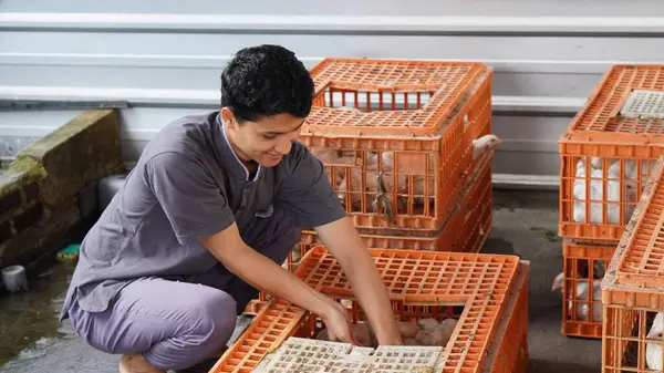 Bir adam neşeyle kafeste tavuk tutuyordu.