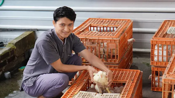 Egy Férfi Egy Csirkét Tartott Ketrecben Örömmel Stock Kép