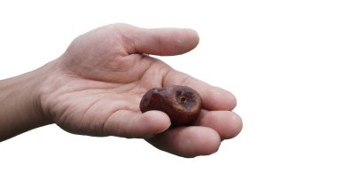 Ramazan Mubarak Günleri 'yle Oruç Tutma Tarihleri 