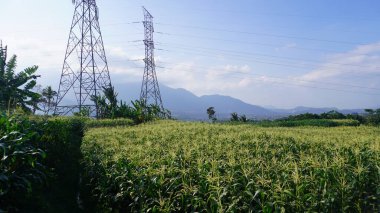 Endonezya kırsalının güzel manzaraları çiftçilerin tarlalarını, dağlarını ve güzel köylerini gösteriyor. Yemyeşil ve yemyeşil arazi, huzurlu ve uyumlu bir tarım hayatını yansıtıyor.,