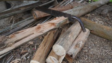 Tahtaya saplanmış tahta testerenin yakın plan fotoğrafı. Testere dişleri ve tahta tahılları gösteriyor.