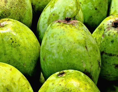 Mango Arkaplanlı Taze Yeşil Mango