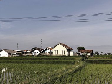 Şehrin güzel manzarası