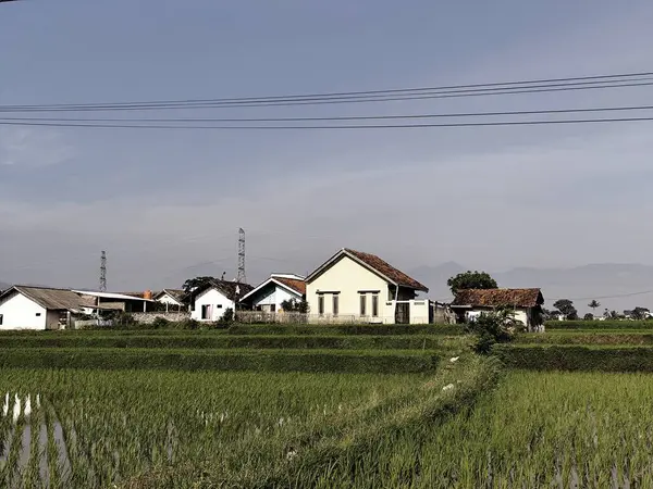 Şehrin güzel manzarası