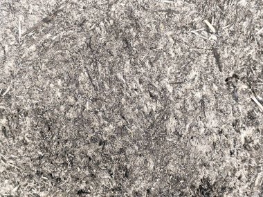 Siyah benekli gri granit deseni