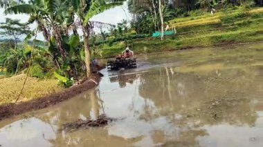 Tarlada traktörü olan bir traktör.