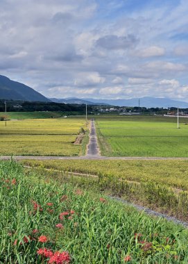 Sonbaharın başında köyün güzel manzarası.