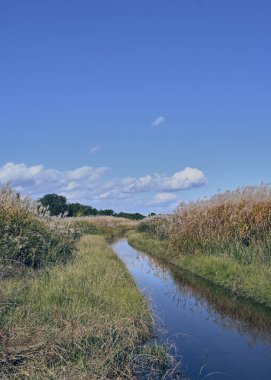 Güzel nehir manzarası, mavi gökyüzü, beyaz bulutlar, güneşli bir gün.