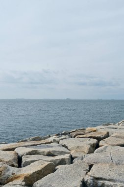 Kıyıdan deniz manzarası, ufukta gemiler.