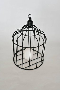 Hafif arka planda metal kafeste beyaz yumurta..