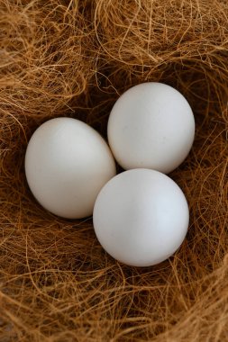 Kahverengi desenli yuvada beyaz bir yumurtanın yakın çekimi.