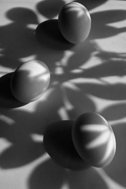 siyah ve beyaz resim yumurtalar ve yapraklardan gölgeler