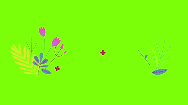 Blume Illustration Vektor Animation Hintergrund Video Grafik Blatt — Stockvideo