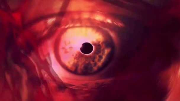 赤い色の抽象的な目 — ストック動画