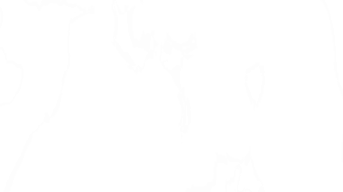 Bir videonun arka planının nasıl değiştirileceğini animasyon için nasıl arkaplan oluşturulacağını nasıl youtube video oynatılacağını arka planda nasıl video düzenleme arka planına farklı arka plan efektleri ektleri eklenip farklı video kaydı ekleneceğini 