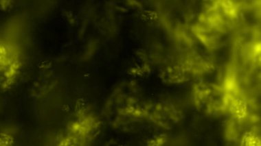 Bokeh ile soyut yeşil ve siyah arkaplan.