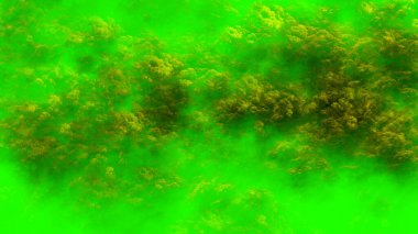 metin için alanı olan soyut yeşil arkaplan