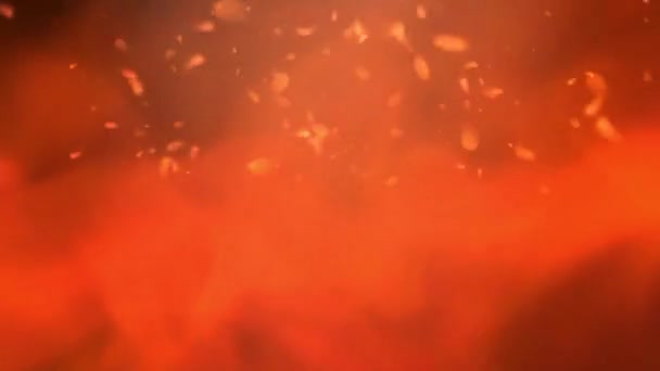 Incendio Esplosione Fiamma Isolato Sfondo Nero — Video Stock