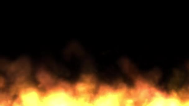Tűz Lángok Hátterében Fekete — Stock videók