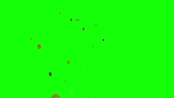 Světle Zelená Červená Vektorová Textura Barevnými Čarami — Stock video