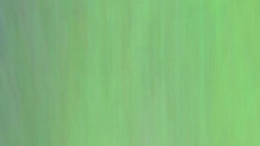 soyut bulanık açık yeşil arkaplan, vektör