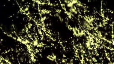 Bokeh ışıkları ile soyut arkaplan