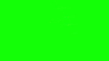 yeşil renk arkaplanı.