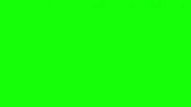 Yeşil duvar arkaplan dokusu