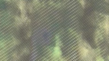 Yeşil kravat boyası soyut. Suluboya izi. Kirli sanat eserleri. Gri suluboya fırça. Soyut grafiti tarzı. Modern sanat. fırçalanmış kağıt. beyaz fırçalı