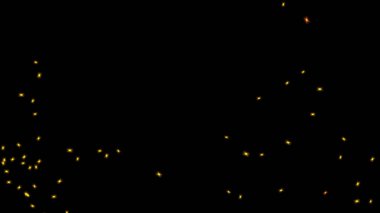 Açık sarı, renkli yıldızlı siyah vektör şablonu. Yılbaşı balolarıyla parlayan renkli çizimler. astroloji web siteleri için desen.