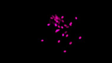 Açık Pembe, benekli sarı vektör arkaplanı.