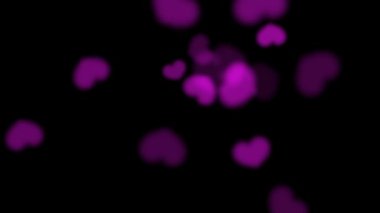 Bulanık ışık keh arkaplanı