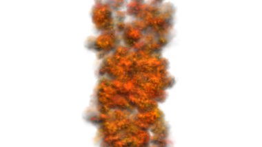 beyaz arkaplanda yangın