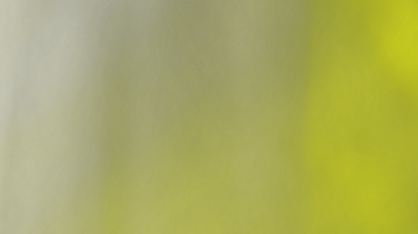 yeşil ve sarı kağıt arkaplan