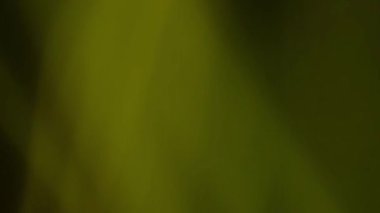 soyut bulanık arkaplan dokusu, desen