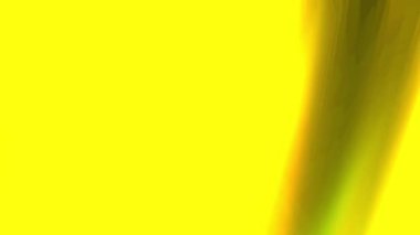 Renk bileşiminde yaratıcı arkaplan, boşluk konseptini kopyala